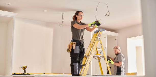 Best Electric Panel Repair  in Charlotte, TN